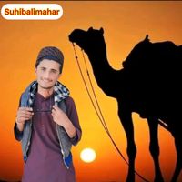 hurmujahid7867
