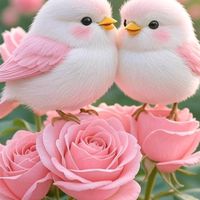 user139414378paula