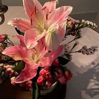 ather_1903