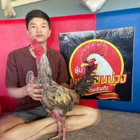 phanuphong89