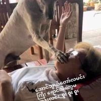 user5300259717405