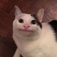 เสียงต้นฉบับ - grt