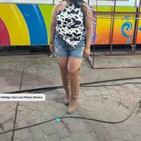_slp.denisse_