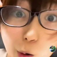 wam_440