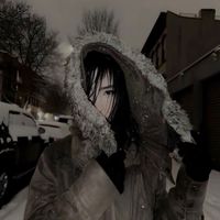 sheeva_hha