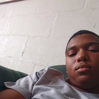 official_xavadog