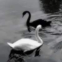 original sound - sitrayy4