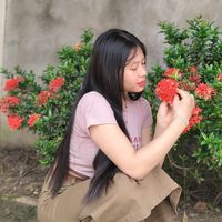 num.phoung520