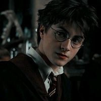 harry_potter.fan.12
