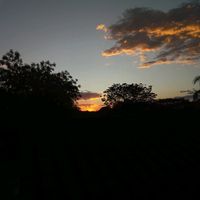angii_0150