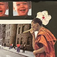 flanygelatinameencanta