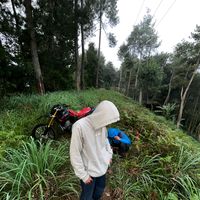 suara asli - Abiii