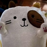 original sound - Zia (Taylor's Version)