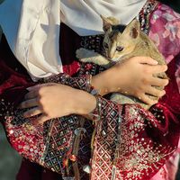 nusratniha378