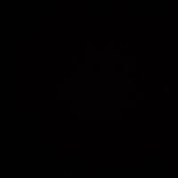 name_loaiza