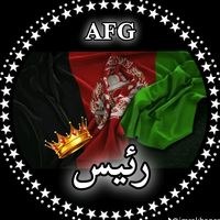 user031128297