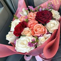 lfan.assil
