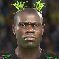 nego.supremo00