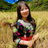 nhạc nền - kob nag tshav ntuj