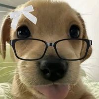 elsa.jh_