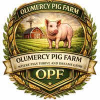 olumercy_pig_farm