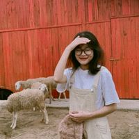 nhạc nền - Thảo choe 🌷