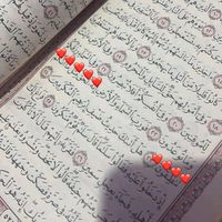 haneen.al.shahat