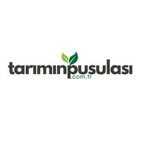 tariminpusulasi