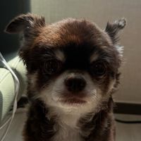 âm thanh gốc - _chocomint.08