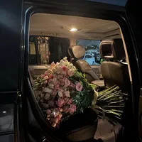 original sound - omarova9280