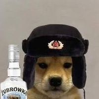 Light work no reaction