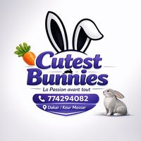 cutest_bunnies05