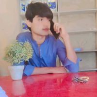 sindhi9816