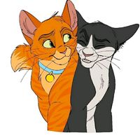 xx.girlsxx._cats