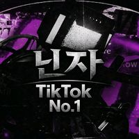 오리지널 사운드 - 글라이더 닌자