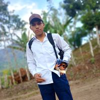 y.s.g.m4