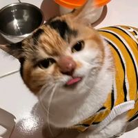 suara asli - KAI