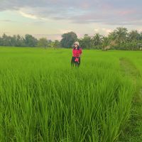 เสียงต้นฉบับ - นุ่นที่ชอบกินแซลมอน