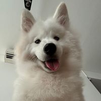 glinnn18