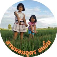 tumbugtang