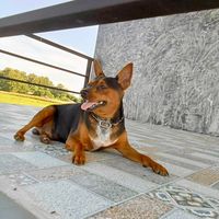 bombam_prattana