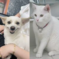 meomay.com
