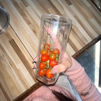 chivittidra_