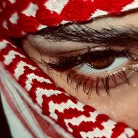 الصوت الأصلي - noor