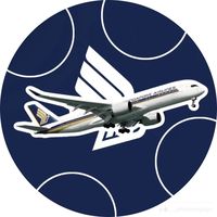 original sound - singapore_airbus/theguylikeFPE