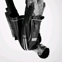 الصوت الأصلي - Saa'e3