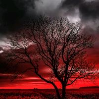 original sound - 🆁🅹 🆂🅾🅽🅶🆂