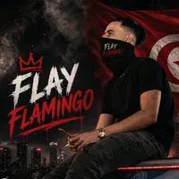 original sound - flayflamingo2htm