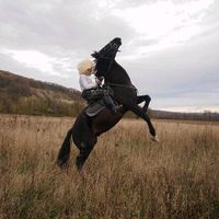 оригинальный звук