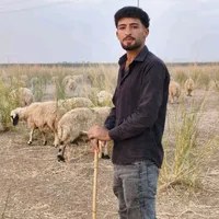 original sound - asp_swarakay_kurdstan